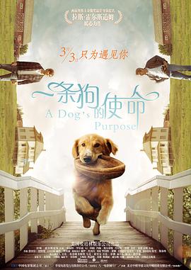 蓝光原盘