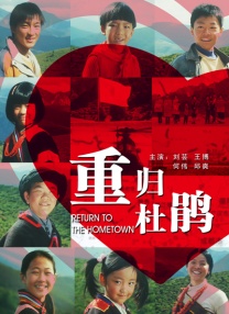 BD国语电影免费在线